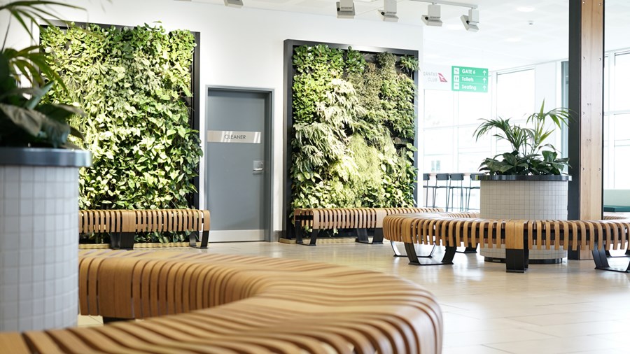 Biophilia: Modern Design…