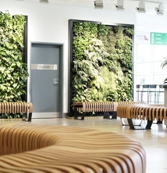 Biophilia: Modern Design…